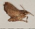  ( - HKNHM-794611)  @12 [ ] Unspecified (default): All Rights Reserved  Unspecified Unspecified