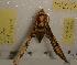  ( - HKNHM-793598)  @13 [ ] Unspecified (default): All Rights Reserved  Unspecified Unspecified