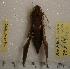  ( - HKNHM-793573)  @13 [ ] Unspecified (default): All Rights Reserved  Unspecified Unspecified