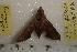  ( - HKNHM-793558)  @12 [ ] Unspecified (default): All Rights Reserved  Unspecified Unspecified