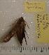  ( - HKNHM-793592)  @12 [ ] Unspecified (default): All Rights Reserved  Unspecified Unspecified