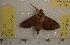  ( - HKNHM-793600)  @12 [ ] Unspecified (default): All Rights Reserved  Unspecified Unspecified