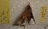  ( - HKNHM-793601)  @12 [ ] Unspecified (default): All Rights Reserved  Unspecified Unspecified