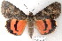  ( - 2603-COI-08)  @11 [ ] Unspecified (default): All Rights Reserved  Unspecified Unspecified
