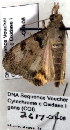  ( - 2617-COI-08)  @12 [ ] Unspecified (default): All Rights Reserved  Unspecified Unspecified