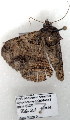  ( - 2621-COI-08)  @11 [ ] Unspecified (default): All Rights Reserved  Unspecified Unspecified