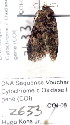  ( - 2633-COI-08)  @12 [ ] Unspecified (default): All Rights Reserved  Unspecified Unspecified