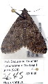  ( - 2645-COI-08)  @13 [ ] Unspecified (default): All Rights Reserved  Unspecified Unspecified