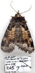  ( - 2657-COI-08)  @12 [ ] Unspecified (default): All Rights Reserved  Unspecified Unspecified