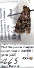  ( - 2665-COI-08)  @12 [ ] Unspecified (default): All Rights Reserved  Unspecified Unspecified