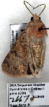  ( - 2667-COI-08)  @12 [ ] Unspecified (default): All Rights Reserved  Unspecified Unspecified