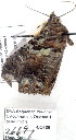 ( - 2669-COI-08)  @11 [ ] Unspecified (default): All Rights Reserved  Unspecified Unspecified