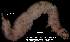  ( - 3499-COI-08)  @13 [ ] Unspecified (default): All Rights Reserved  Unspecified Unspecified