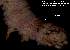  ( - 3499-COI-08)  @13 [ ] Unspecified (default): All Rights Reserved  Unspecified Unspecified