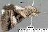 ( - 3510-COI-08)  @12 [ ] Unspecified (default): All Rights Reserved  Unspecified Unspecified