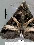  ( - 3511-COI-08)  @12 [ ] Unspecified (default): All Rights Reserved  Unspecified Unspecified