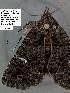  ( - 3525-COI-08)  @12 [ ] Unspecified (default): All Rights Reserved  Unspecified Unspecified