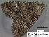  ( - 3527-COI-08)  @12 [ ] Unspecified (default): All Rights Reserved  Unspecified Unspecified