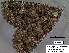  ( - 3529-COI-08)  @12 [ ] Unspecified (default): All Rights Reserved  Unspecified Unspecified