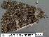  ( - 3530-COI-08)  @12 [ ] Unspecified (default): All Rights Reserved  Unspecified Unspecified