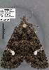  ( - 3534-COI-08)  @13 [ ] Unspecified (default): All Rights Reserved  Unspecified Unspecified