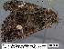  ( - 3535-COI-08)  @13 [ ] Unspecified (default): All Rights Reserved  Unspecified Unspecified