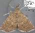  ( - 3536-COI-08)  @13 [ ] Unspecified (default): All Rights Reserved  Unspecified Unspecified