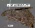  ( - 3541-COI-08)  @12 [ ] Unspecified (default): All Rights Reserved  Unspecified Unspecified