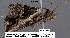  ( - 3562-COI-08)  @12 [ ] Unspecified (default): All Rights Reserved  Unspecified Unspecified
