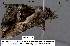  ( - 3563-COI-08)  @12 [ ] Unspecified (default): All Rights Reserved  Unspecified Unspecified