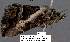  ( - 3564-COI-08)  @12 [ ] Unspecified (default): All Rights Reserved  Unspecified Unspecified