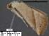  ( - 3567-COI-08)  @13 [ ] Unspecified (default): All Rights Reserved  Unspecified Unspecified