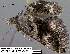  ( - 3569-COI-08)  @12 [ ] Unspecified (default): All Rights Reserved  Unspecified Unspecified