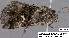  ( - 3570-COI-08)  @12 [ ] Unspecified (default): All Rights Reserved  Unspecified Unspecified