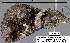  ( - 3571-COI-08)  @12 [ ] Unspecified (default): All Rights Reserved  Unspecified Unspecified