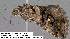  ( - 3572-COI-08)  @12 [ ] Unspecified (default): All Rights Reserved  Unspecified Unspecified