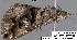  ( - 3573-COI-08)  @12 [ ] Unspecified (default): All Rights Reserved  Unspecified Unspecified