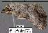  ( - 3582-COI-08)  @12 [ ] Unspecified (default): All Rights Reserved  Unspecified Unspecified