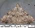  ( - 3583-COI-08)  @13 [ ] Unspecified (default): All Rights Reserved  Unspecified Unspecified