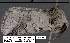  ( - 3595-COI-08)  @13 [ ] Unspecified (default): All Rights Reserved  Unspecified Unspecified