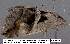  ( - 3612-COI-08)  @12 [ ] Unspecified (default): All Rights Reserved  Unspecified Unspecified