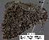  ( - 3627-COI-08)  @12 [ ] Unspecified (default): All Rights Reserved  Unspecified Unspecified