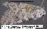  ( - 3629-COI-08)  @12 [ ] Unspecified (default): All Rights Reserved  Unspecified Unspecified