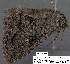  ( - 3630-COI-08)  @12 [ ] Unspecified (default): All Rights Reserved  Unspecified Unspecified