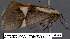  ( - 3663-COI-08)  @12 [ ] Unspecified (default): All Rights Reserved  Unspecified Unspecified