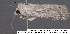  ( - 3671-COI-08)  @12 [ ] Unspecified (default): All Rights Reserved  Unspecified Unspecified