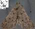  ( - 3677-COI-08)  @12 [ ] Unspecified (default): All Rights Reserved  Unspecified Unspecified