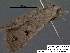  ( - 3680-COI-08)  @12 [ ] Unspecified (default): All Rights Reserved  Unspecified Unspecified