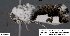 ( - 3703-COI-08)  @13 [ ] Unspecified (default): All Rights Reserved  Unspecified Unspecified