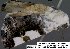  ( - 3704-COI-08)  @13 [ ] Unspecified (default): All Rights Reserved  Unspecified Unspecified
